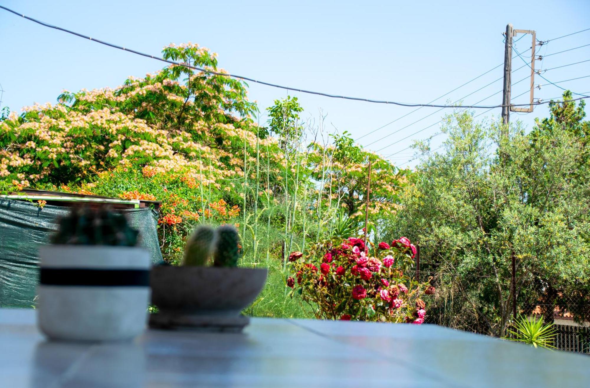 Paradise Residency Nea Iraklitsa Luaran gambar